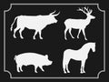 Set of animals isolated on black background.